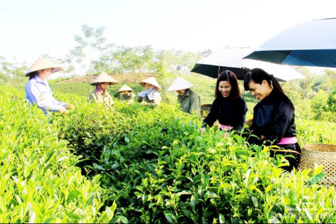 Đảm bảo quyền sử dụng đất cho đồng bào dân tộc thiểu số theo Điều 16 Luật Đất Đai năm 2024